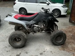 Suzuki Quadsport Z400. ��������, ��, �� ����