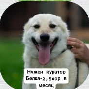 ������ ���� ��� ����