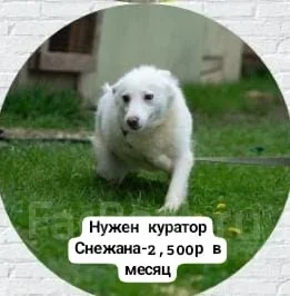 ������ ���� ��� ����