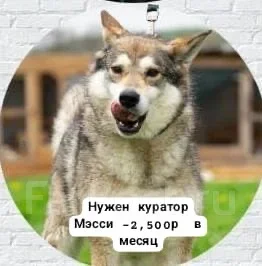 ������ ���� ��� ����