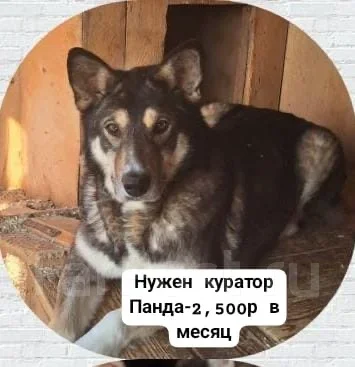 ������ ���� ��� ����