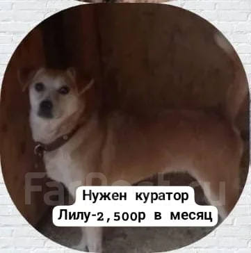 ������ ���� ��� ����