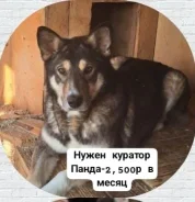 ������. ����
