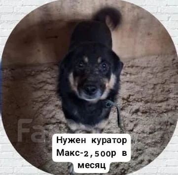 ������. ����