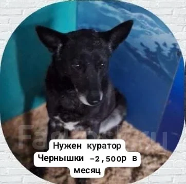 ������. ����