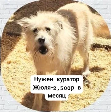 ������. ����