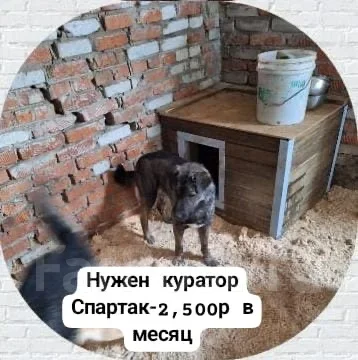 ������. ����