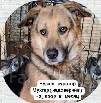 ������. ����