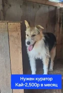 ������. ����