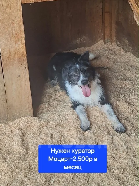 ������. ����