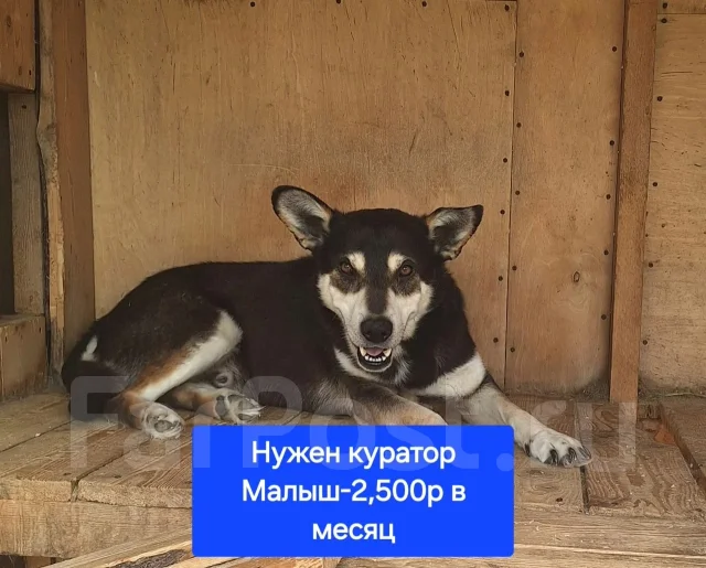 ������. ����