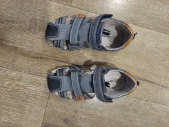 ��������. 29 ����