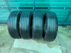 Nereus Dyntrac. ������, 2024 ���, �/�, ����� 5 % ����