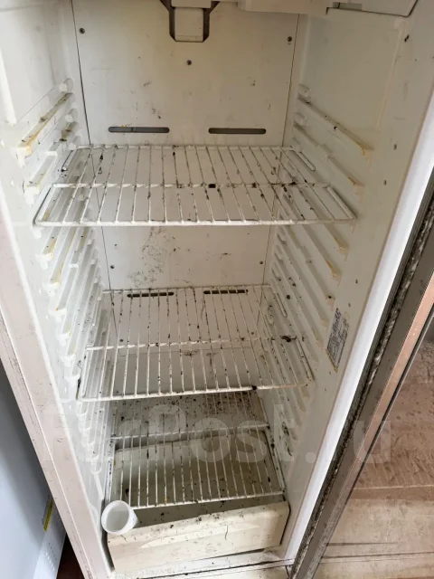 ������� �����������. ����