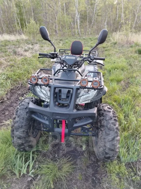 Yamaha Grizzly 250. ��������, ��� ���\���, �� ����