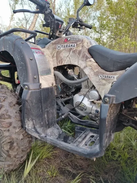 Yamaha Grizzly 250. ��������, ��� ���\���, �� ����