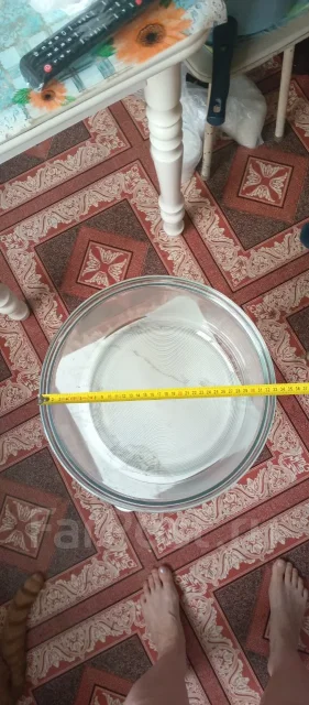 ����. ����