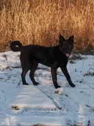 ������. ����