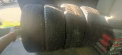 WinRun. ������, ����������, 2025 ���, �/�, ����� 5 % ����
