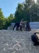 ����� � ������ ���� ����