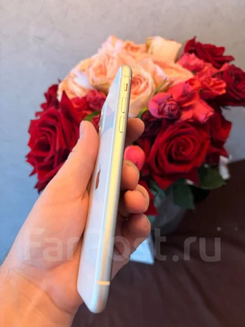 Apple iPhone 11. �/�, 64 ��, �����, 3G, 4G LTE ����