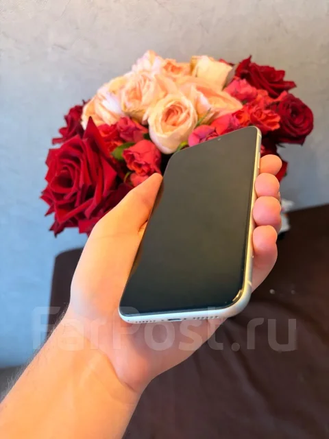 Apple iPhone 11. �/�, 64 ��, �����, 3G, 4G LTE ����