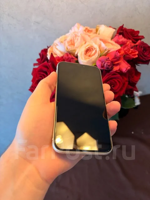 Apple iPhone 11. �/�, 64 ��, �����, 3G, 4G LTE ����