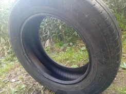 Nokian Hakka C2. ������, 2024 ���, �/�, ����� 5 % ����