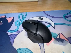 ���� ������������. ����