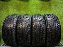 Nexen Winguard 231