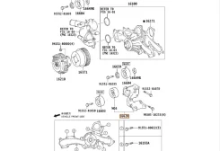 ���������� ����� ���������� (� ����� � �������) Toyota Land Cruiser Prado 150 2009� 1662031050 GRJ150 1GR-FE (DUAL VVT-I), �������� 1662031050 ����