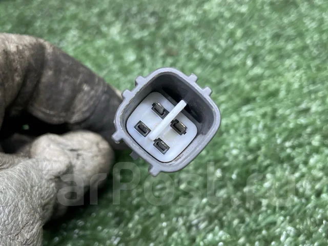 ������ ����������� 8946552060 8946552060 ����