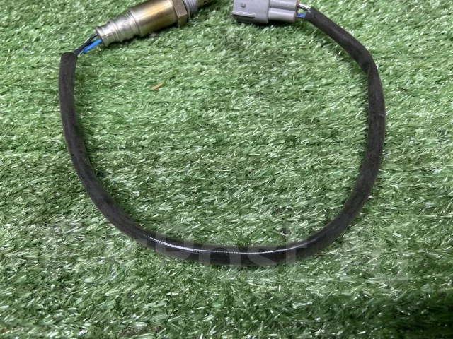 ������ ����������� 8946552060 8946552060 ����