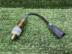 ������ ����������� 8946722020 8946722020 ����