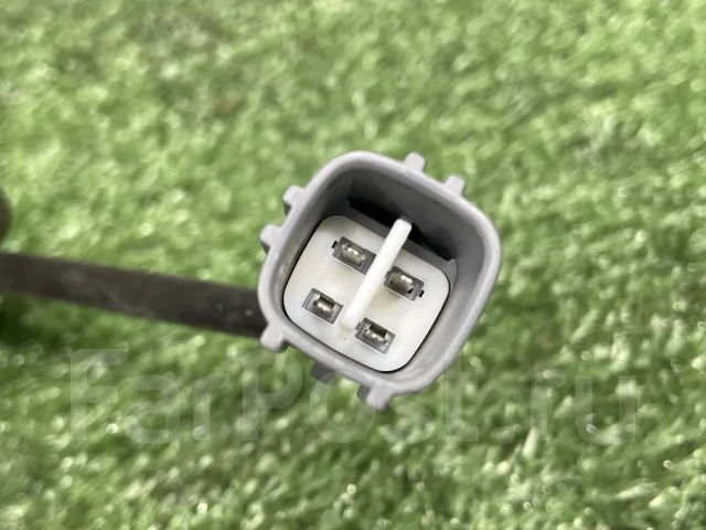 ������ ����������� 8946552010 8946552010 ����
