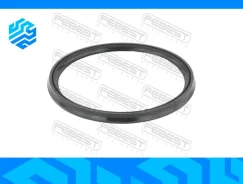 ������ �������������� ���������� �������� Febest 16400020 16400020 ����