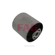 ����� �������� 829043610 ����