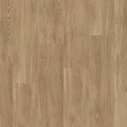 ������ ���. ����