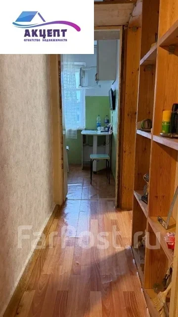 1-���������, ����� ������ (���. ���������) 17/3. ���������, ���������, 30,1���.��. �������� ����
