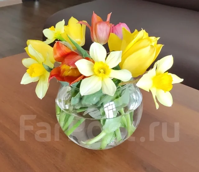 ����� ������� / ������ ����