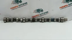���������� Mercedes-Benz 814 1991 36605 674.013 OM366 / 366.905 36605 ����