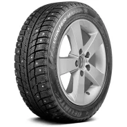 Delinte Winter WD52