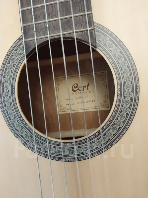 ������ ������������. ����