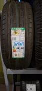 Triangle TE301. ������, 2021 ���, ����� ����