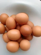 ����. ����