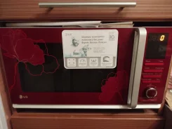 LG ����