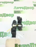 ��������� ������������� ���� ������ 2019 30356 R90 21129, �������� 30356 ����