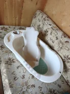 ��������. ����