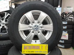 Dunlop Wild Cruising