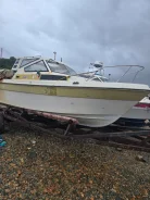 Yamaha Fish 24. ����� 7��., 200��.�. ����